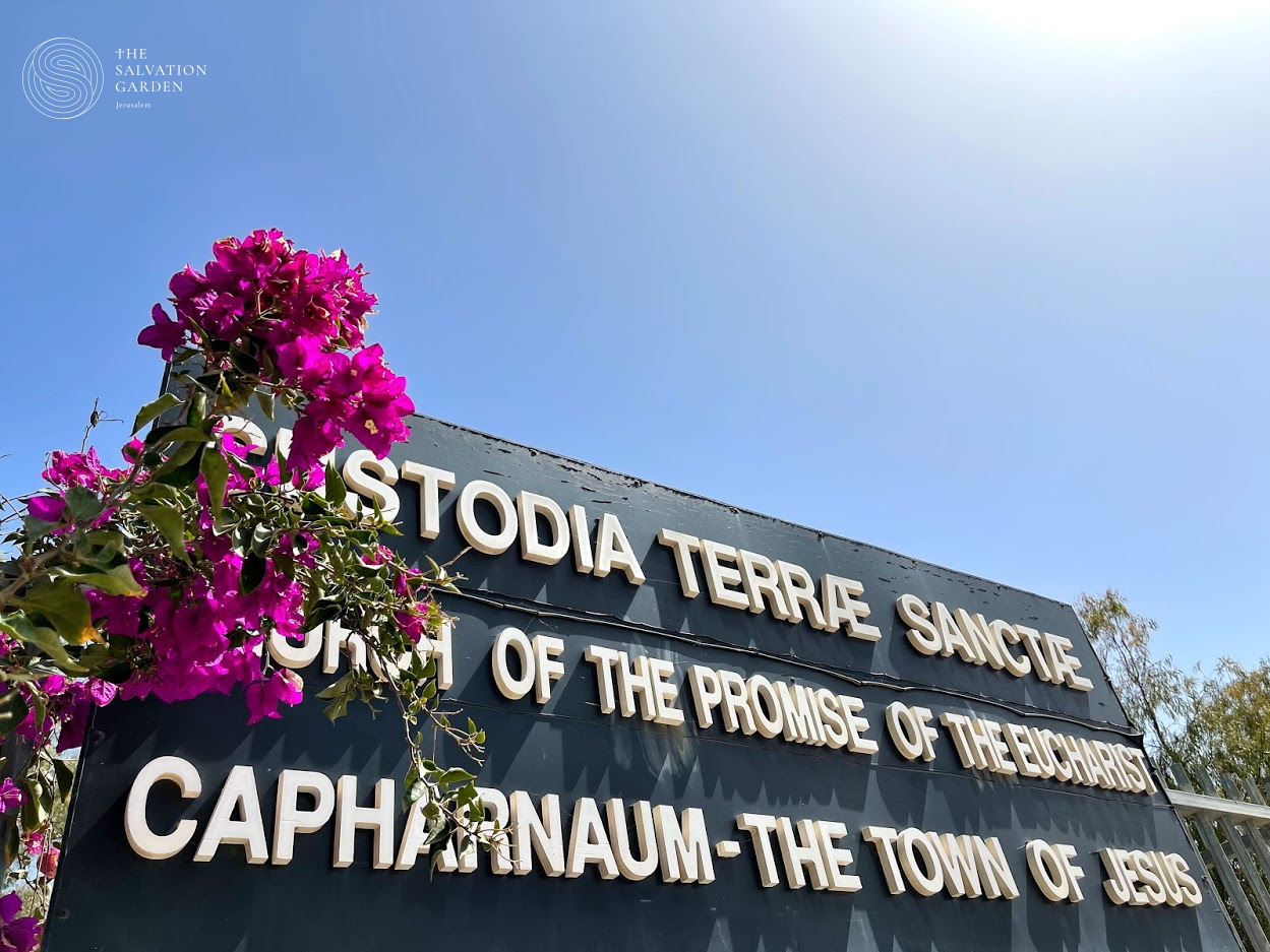 Capernaum the Town of Jesus - Prayer Request