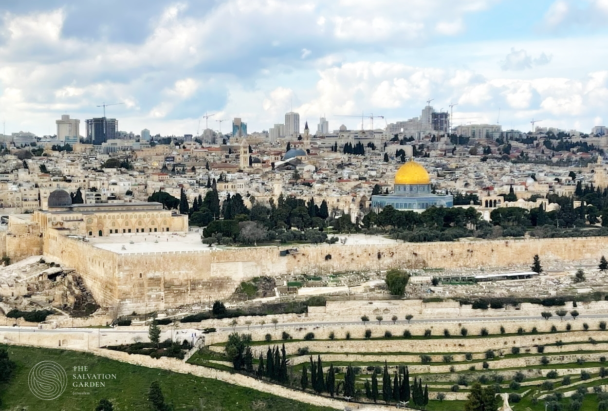 Ascension Day Prayer Request - view from the Mount of Olives